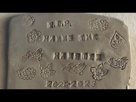 R.I.P Hammy the hampter