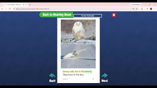 Level E.Arctic Animals
