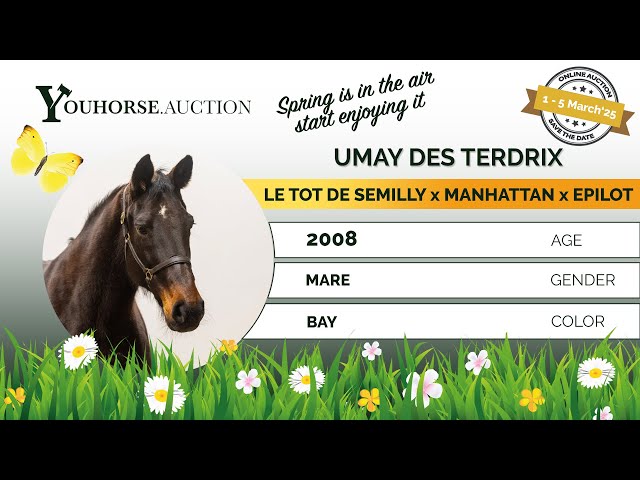 Umay des Terdrix
