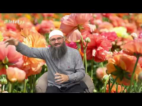 Ako preselim prvo ja kao dužnik ili prvo preseli otac kojem sam dužan novac, kako postupiti? - E. P.