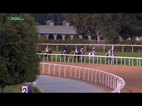 WATHBA STALLIONS CUP - FOR PRIVATE OWNERS - ABU DHABI EQUESTRIAN CLUB | 16/03/2023