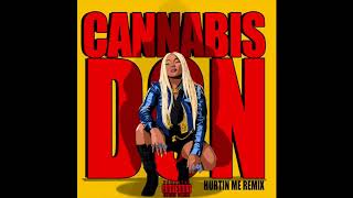 Hurtin Me Remix -  Stefflondon X French Montana X Cannabis Don