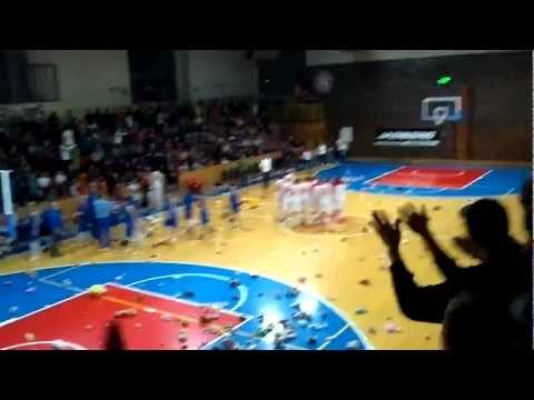 Basketbal - Hradecké lvice