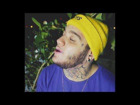 Video thumbnail for PRÍMULA