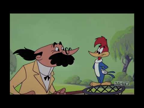 Woody Woodpecker 1960 - 100 - How To Stuff A Woodpecker
