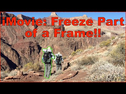 Freeze Frame clone 👯‍♂️ with iMovie!