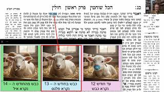 דף יומי מסכת חולין דף כג Daf yomi Masechet Chulin page 23  ע"י יוני גוטמן (שיעורי הדף היומי ב-20 דקות – מועבר ע"י ר' יוני גוטמן – לעילוי נשמת אביו ר' אלימלך צבי (צביקה) גוטמן ז"ל) - התמונה מוצגת ישירות מתוך אתר האינטרנט יוטיוב. זכויות היוצרים בתמונה שייכות ליוצרה. קישור קרדיט למקור התוכן נמצא בתוך דף הסרטון