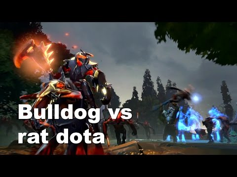AdmiralBulldog vs Rat Dota Base Race