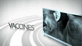 preview picture of video 'Vaccines for Travel - By International Medical Services'