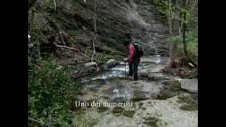 preview picture of video 'Rio Vitoschio e fosso del Mulino.mpg'