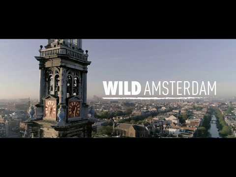 Wild Amsterdam (2018) Official Trailer