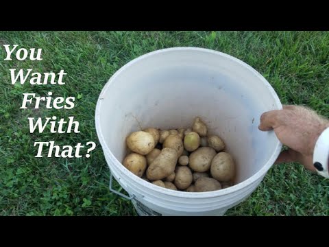My potato tower - I LOVE POTATOES