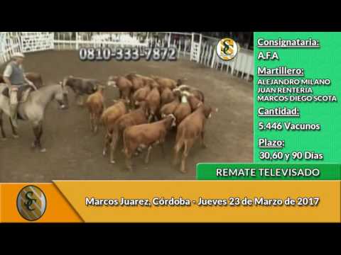 23-03-2017 - Ventas  01 - Remate Televisado de AFA - Marcos Juarez - Cordoba