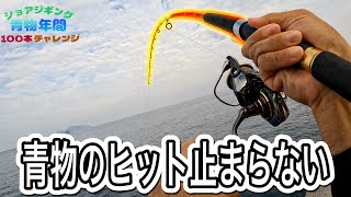 青物のヒットが止まらない！高知最強堤防が凄すぎた！【ショアジギング青物年間100本チャレンジ#128】