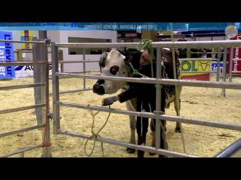 Voir la vidéo : Ring de présentation du 01 mars 2017, partie 3