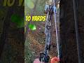 Big WISCONSIN Bow Buck Deerhunting Deertour Wildlife