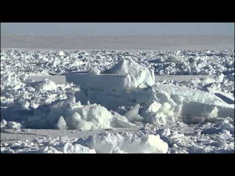 People of a Feather - Trailer