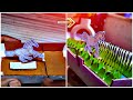 Interesting DIY Cardboard Toy How To Make Cardboard Horse Toy
