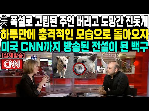 [유튜브] 미국 CNN까지 방송된 전설이 된 백구