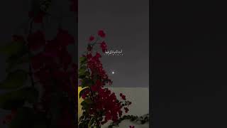 اسمعهم لو ينادوني علم مايهم مرضيها سترويات ورد زهري اغاني شيلات فخمه سعوديه