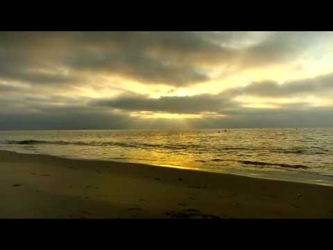 Owlpha-Omega GmbH video.