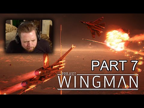 Fear the French | Project Wingman - Part 7