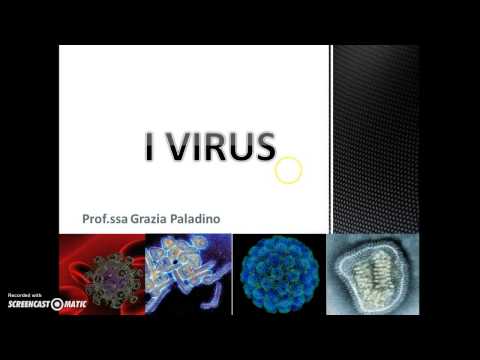 Parassiti in un fegato in cuore Come trattano parassiti in un fegato