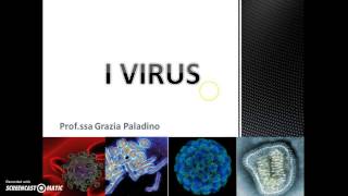 I virus