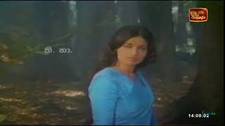 Download lagu Nelum Nupan Vile - By Victor with Latha. Acting - Vijaya & Nita -  Suryakantha / සූර්යකාන්ත - 1981 mp3