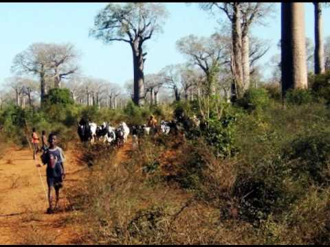 MIKEA-Longo raty (Theo Rakotovao)