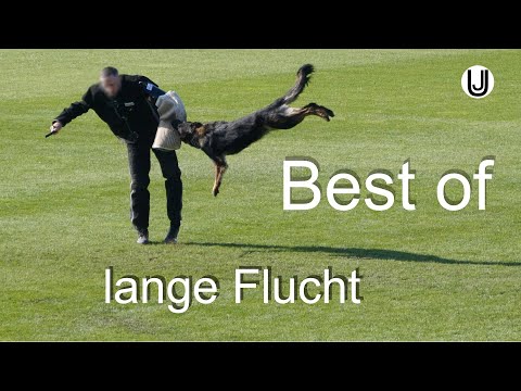 Best of lange Flucht BSP 2021