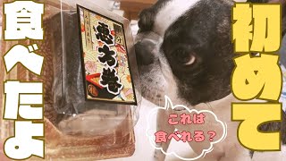今年はきっと縁起が良いフレブル✨