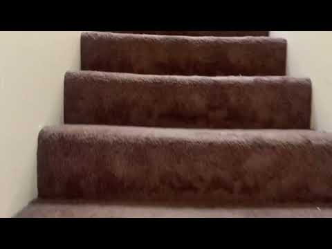 1641lake - Video 2 of 2