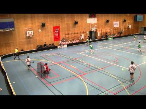 IBF Göteborg Lindome 11/1 2015 del 4_2