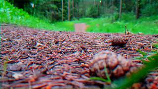 Xeno And Oaklander - Interface (Fanmade Music Video)