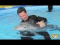 Brookfield Zoo's Seven Seas Staff Part 4 - Mark and Magic