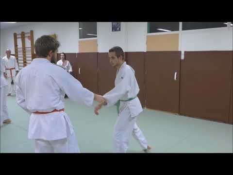 URANAMI DOJO : Stage Aikido 2017
