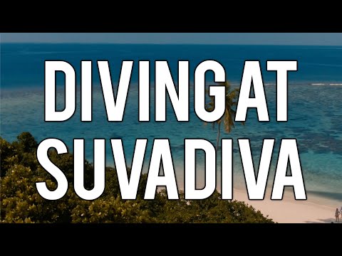 DIVING AT SUVADIVA