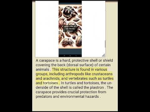 carapace structure and function dictionary