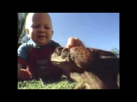 Gwen and Zoey's Adventures of Really Wild Animals (Episode 15; Part 5)