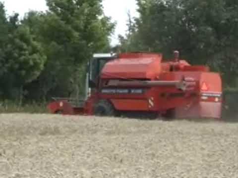 Persyn - Steelandt: Maaidorsen.