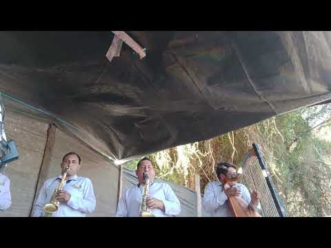 Orquesta juventud raíces de la mar ayacucho 