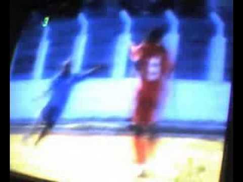 Sumaré 0x2 Capivariano