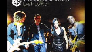 The Brand New Heavies   Jump and Move (Live London 2009)