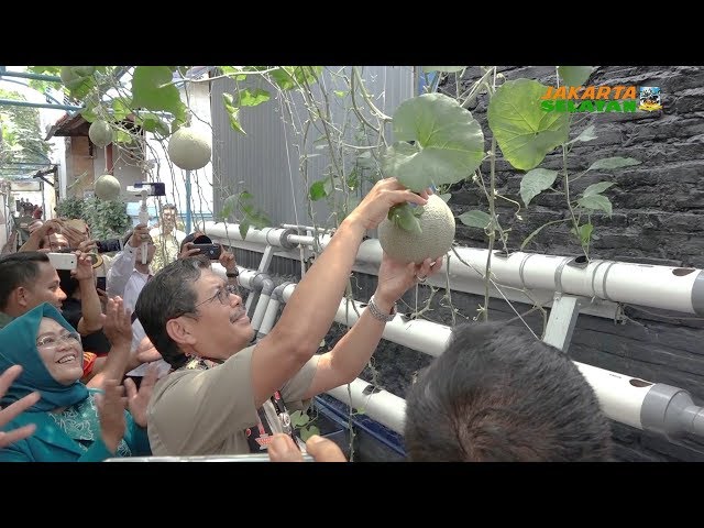 Kampung Buah Pengadegan di Resmikan