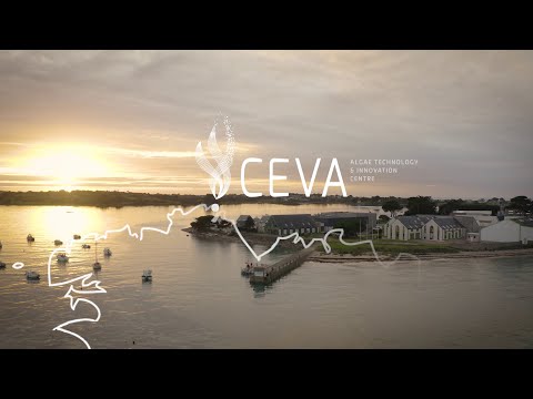 Au coeur du CEVA