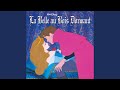 Magical House Cleaning Blue Or Pink From Sleeping Beauty Score