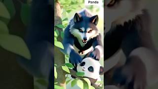 Panda bear wolf