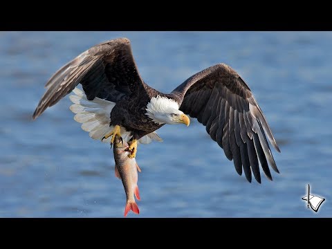 2020-0517AM - The Oncoming Storm_60-0229