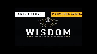 Proverbs 26:13-16 - Ants & Slugs